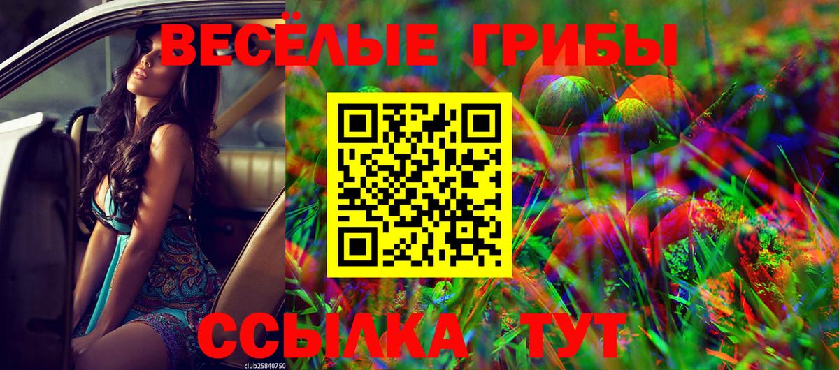 Киселёвск  Галлюциногенные грибы мицелий  Вход с VPN 