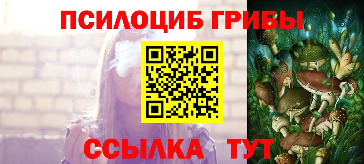Псилоцибиновые грибы GOLDEN TEACHER Киселёвск